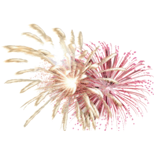 Fireworks PNG-15619